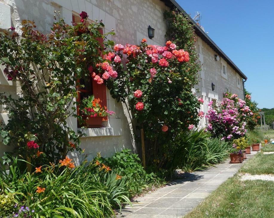 La Maison Des Fleurs Saint-Senoch Exterior foto